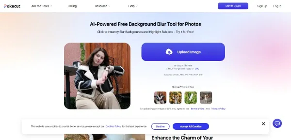 Background Blur Pokecut