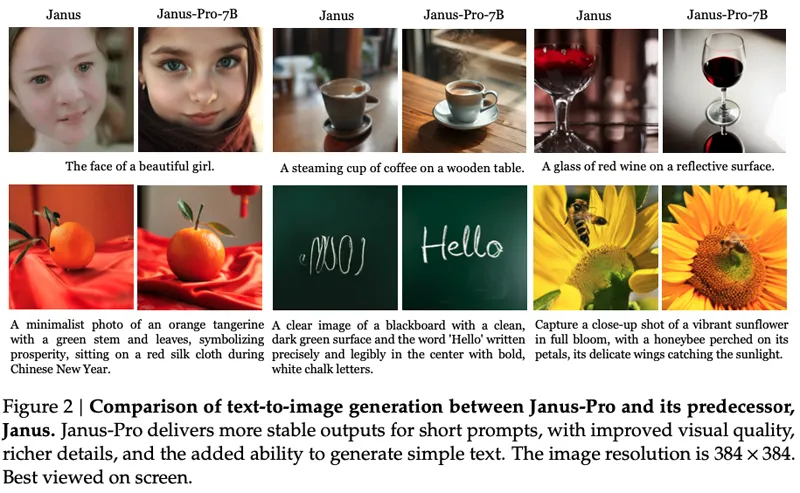 Janus Preview
