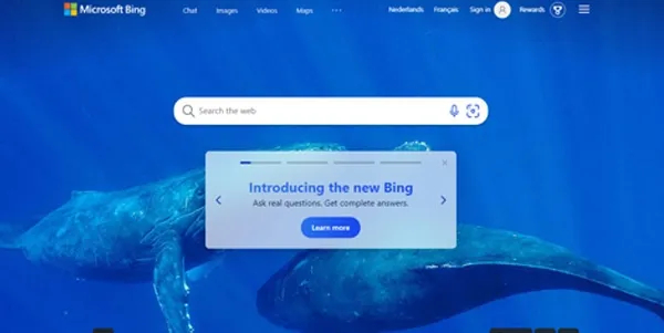 Microsoft Bing