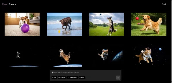 Reve Image